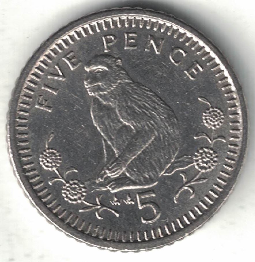 Gibraltar 5 Pence New Coin